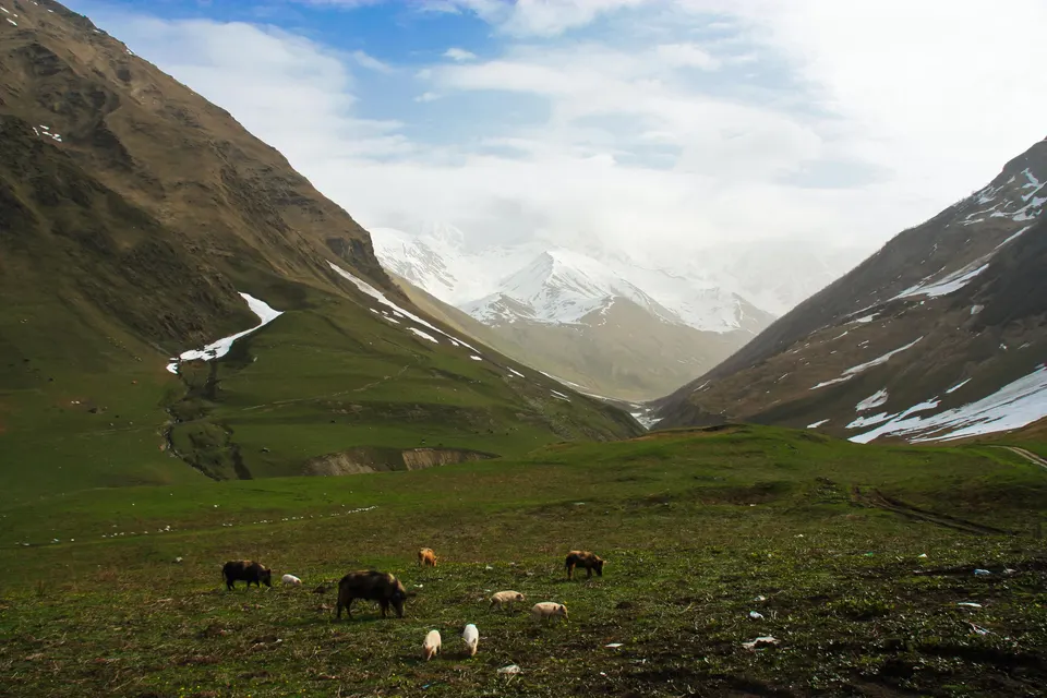 Le mur du Chkhara au-dessus de la vallée